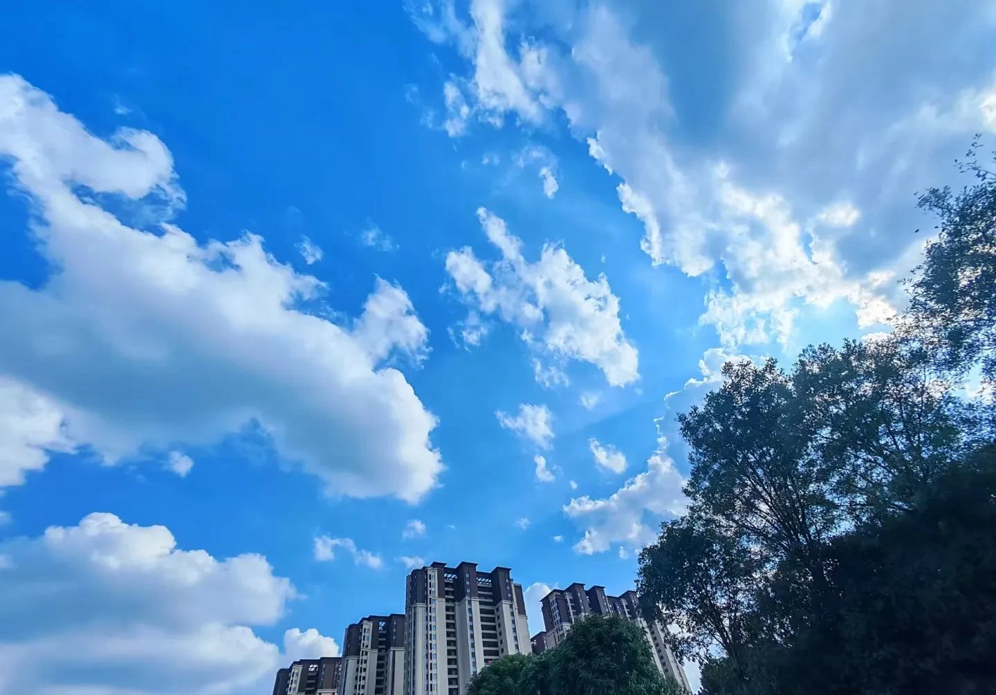 今晨上海海港手感冰凉：葡超节点到来；质疑声仍在；团队化学反应显著的简单介绍