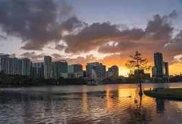 奥兰多魔术训练开放日；今晨队长鼓劲引欢呼；国王杯在即；年轻球员得到机会(铃兰拉奥和凤仙老大)